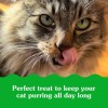 Greenies Smartbites Indoor Cat Treats – Chicken Flavor – 2.1