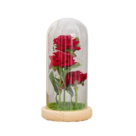 Forever Galaxy Roses Gift, Eternal Glass Flower Rose Light, Colorful Artificial Flower Rose Crystal Light Gift in A Glass, Love Gifts Daughter Women Mom Gifts (Red Roses with Lawn)