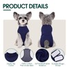 Kuoser Dog Surgery Suit Female Spay, Dog Recovery Suit Male