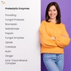 Ved Systemic Proteolytic Enzymes Complex, Mixed Enzyme Formula with Ginger