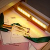 OUSFOT Cabinet Lighting LED Motion Sensor, 10 LED Base Cabinet