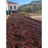Exotic Specialty Coffee Black Tucano - Brazilian Medium Roast with