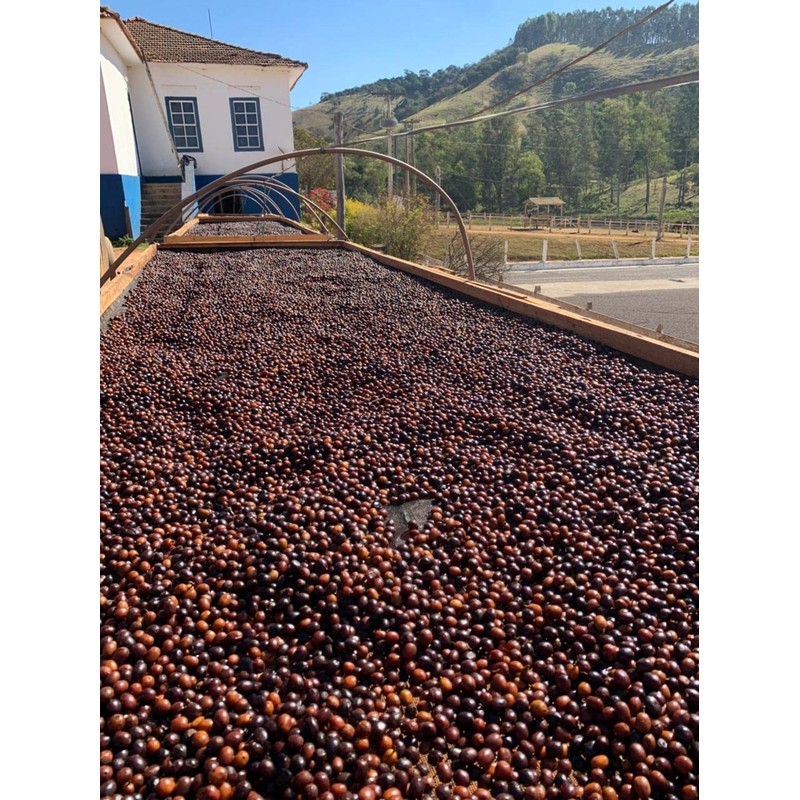 Exotic Specialty Coffee Black Tucano - Brazilian Medium Roast with