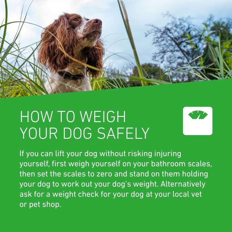 FRONTLINE FRONTLINE Plus Flea & Tick Treatment for Large Dogs