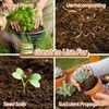 Riare 10pcs Organic Coco Coir Bricks Soil Blocks- 100% Natural