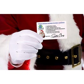 ASVP Shop Santa Claus Lost Driving Sleigh Licence Father Christmas Eve Box Filler Gift