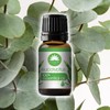 Elysium Spa Essential Aroma Energizing Oil