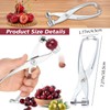 Cherry Olive Pitter Tool Metal Kitchen Utensils Hawthorn Tool Red