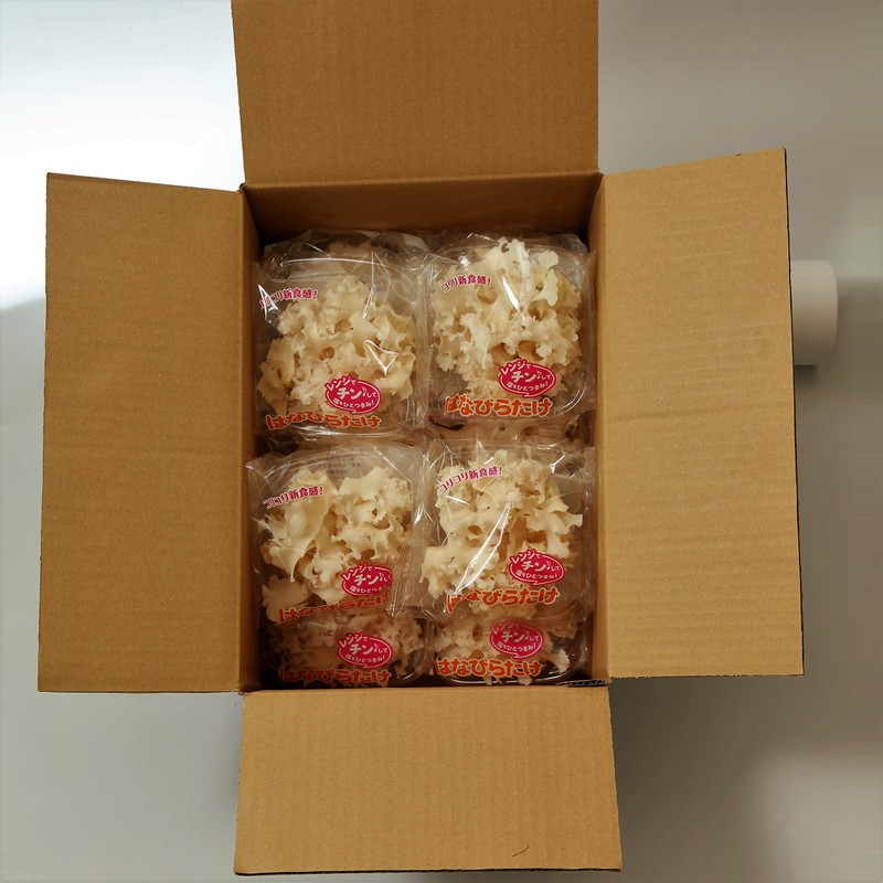 Hanabiratake, 2.8 oz (80 g), 10 Bags, km04, Made in