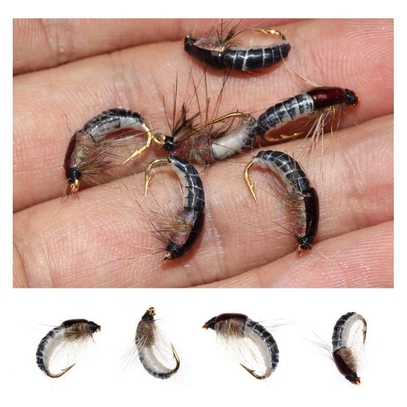 6 Unidades De Mosca Realista Nymph Scud Para Pesca Artificia
