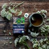 Traditional Medicinals, Té Orgánico Nighty Night Extra Reposo Natural, 1
