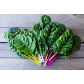 TKE Farms & Gardens - Rainbow Swiss Chard Seeds for Planting, 5 Grams, 175 Heirloom Seeds, Non-GMO, Instructions Included, Beta vulgaris, Qty 1