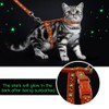 Cat Harness and Leash Set Gold Moons Soft Nylon Escape