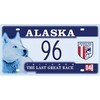 OPO 10 - USA car LICENSE PLATE - 30x15 cms
