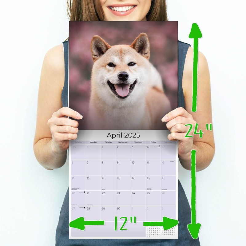 2024 2025 Shiba Inu Calendar - Dog Breed Monthly Wall