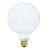 Satco S3004 120-Volt 150-Watt G40 Medium Base Light Bulb, Gloss