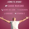 Lifeed Detox Natural | Cardo Mariano + Alcachofa + Jengibre