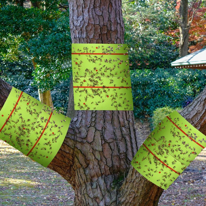 Qualirey 18 Rolls 540 ft Total Spotted Lantern Fly Tree