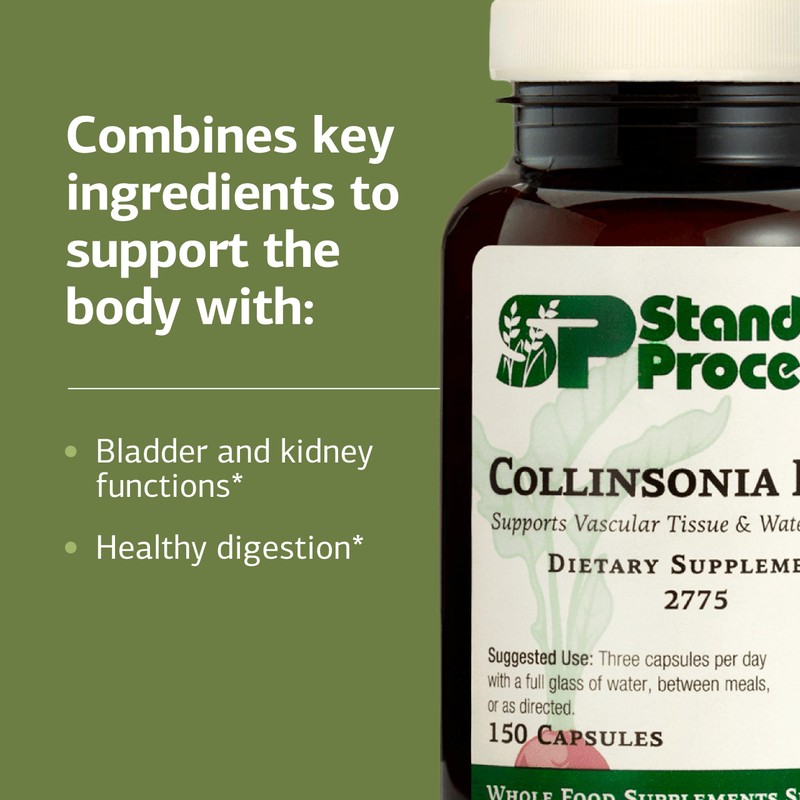 Standard Process Collinsonia Root - Healthy Vascular Tissue Support Supplement