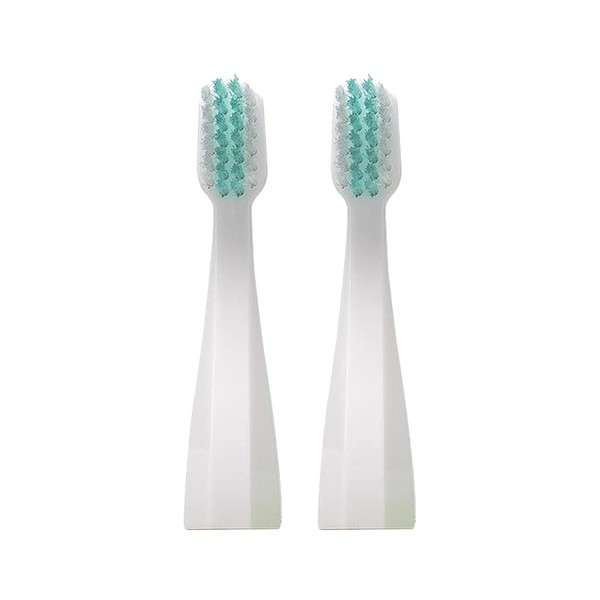 Dale Audrey Ayurvedic Quick Sonic Toothbrush Head Replacement for Adults | DailyClean Toothbrush | (2 Count)