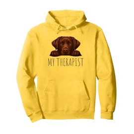 Funny Chocolate Labrador Dog Owner Pullover Hoodie