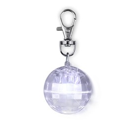 Light Projecting Pet Light and LED Keychain
