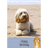 Cockapoo Dog Birthday Card