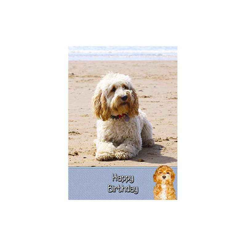 Cockapoo Dog Birthday Card