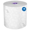 Scott Professional Essential High-Capacity Hard Roll Paper Towels, Bulk (02001),