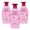 Organist Cherry Blossom Moisture Nutrition Conditioner, 3, 500ml / 오가니스트 체리블라썸 수분 영양 컨디셔너, 3개, 500ml
