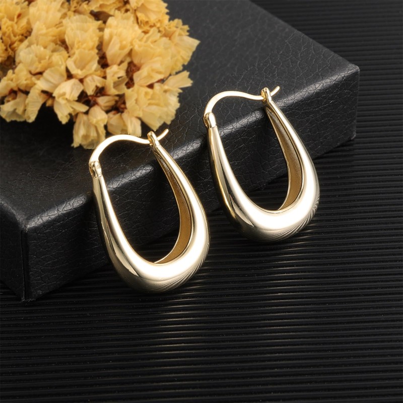 ALEXCRAFT 14K Large Chunky Gold Hoop Earrings for Women S925