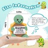 CheriGift Grandma Turtle