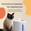 Modern Small Plastic Automatic Pet Water Dispenser with 2L Capacity