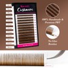 Kolybel Colored Premium Eyelash Extensions 0.03 D Curl 8-16mm Mixed