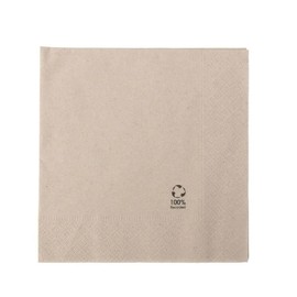 BIOZOYG Umweltfreundliche Bio Servietten aus Recyclingpapier I Hochwertige Papierservietten 33 x 33 cm I 100 Stück Cocktailservietten ungebleicht, biologisch abbaubar, kompostierbar