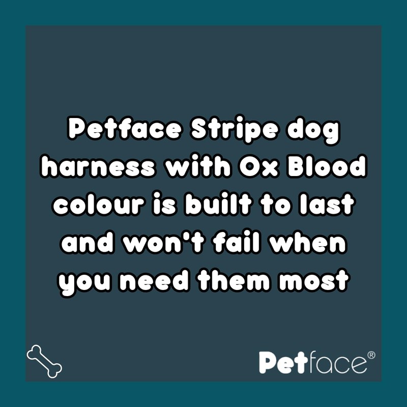 Petface Stripe Dog Harness, Ox Blood, Medium, M