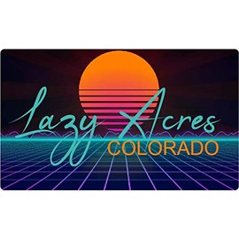 Lazy Acres Colorado 2 X 1.25-Inch Vinyl Decal Stiker Retro Neon Design
