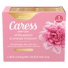 Caress Beauty Bar Soap For Noticeably Silky Soft Skin Daily