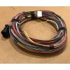 Onan Genuine Cummins Onan Energy Command (EC-30) Wiring Harness, 25'