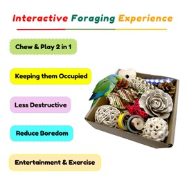 ExcyphrXyf Bird Toys Parrot Toys Natural Bird Foraging Box Foot for Parakeets,Cockatiels,Conures,Love Birds,and Other Small to Medium Birds (Medium)