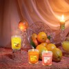 24 Pack Scented Aromatherapy Candles - 12 Fragrances 1.8 Oz