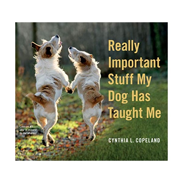 Really Important Stuff My Dog Has Taught Me