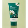 Round Lab Camellia Deep Collagen Elasticity Cream 50ml NONE /