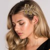 Mabor 4 Pieces Leopard Print Hair Clips Women 2 Styles
