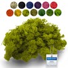 sphagnum-shop.com Real Reindeer Moss in Yellow Green 200 g for