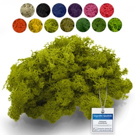 sphagnum-shop.com Real Reindeer Moss in Yellow Green 200 g for Model Making Crafts Decoration Iceland Moss Preserved