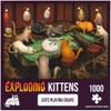 Exploding Kittens PCRAPS-1K-6 Cat Puzzle, Multi