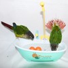 HEEPDD Pet Bird Parrot Bathtub, Automatic Bathtub, Multifunctional Shower Cubicle,