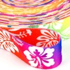 Country Brook Design - Hawaiian Rainbow Polyester Webbing (1 Inch,