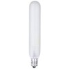 Westinghouse Lighting Corp 15-watt Frosted Candelabra Light Bulb